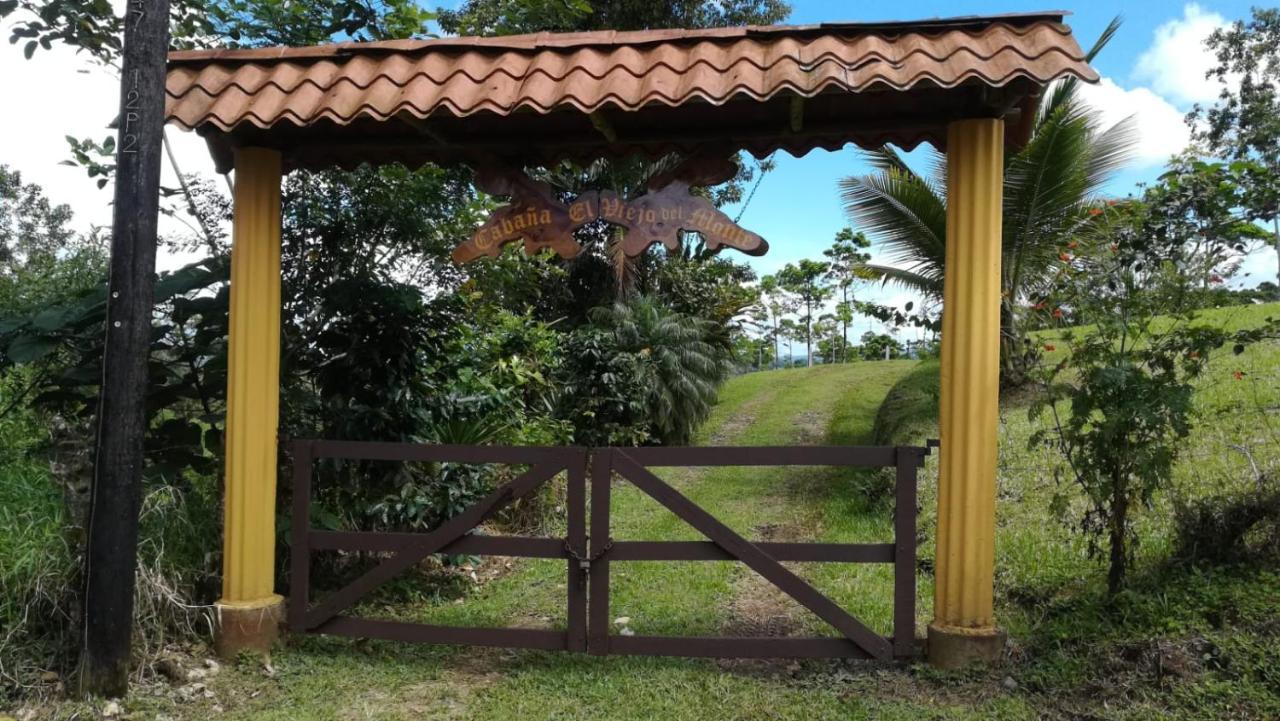 Cabana El Viejo Del Monte Venecia Bagian luar foto